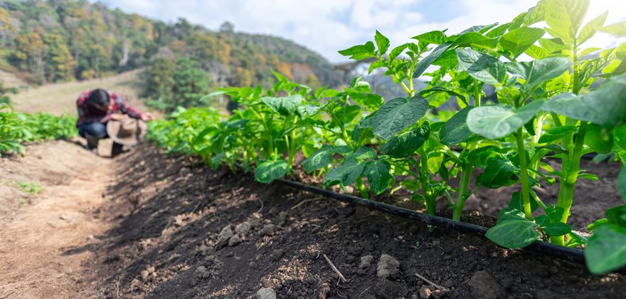 1.福山市にお住まいのT様が、「耕作できない畑を宅地に転用し、売却して解決した事例」